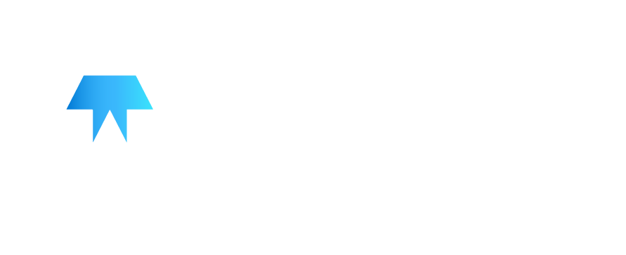 TAM Management - Georgian Aircraft Manufacturer